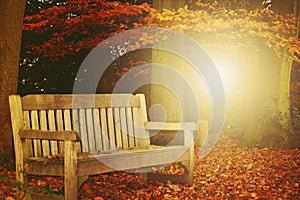 Autumn Bench