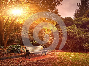 Autumn bench in park