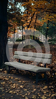 Autumn bench in park showcases textured surface amidst seasonal foliage