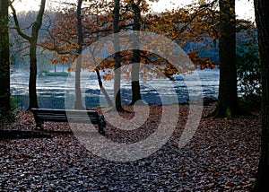 Autumn bench scene Sutton park Birmingham