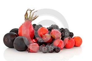 Autumn Berry Fruit Selection