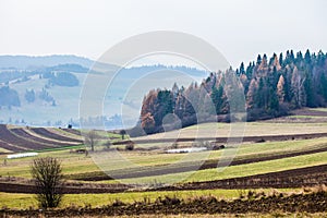 Autumn in the Beskid mountains in Poland.