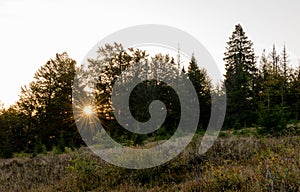 Autumn in Beskid region of Carpathians Mountains