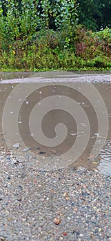 autumn. big puddle on the road. raindrops on the water. there are stones around the puddle. grass grows on the side of the road.