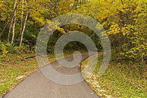 Autumn Bike Trail In Woods