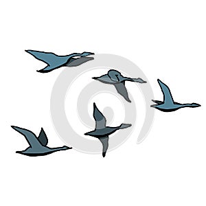 Autumn bird flock. Outline with different colors on white background. Vector illustration