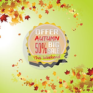 Autumn bis sale offer photo