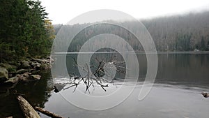 autumn in black lake sumava bohemian forest czech republic