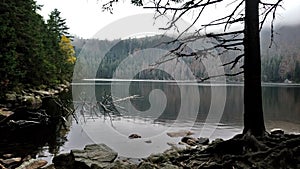 autumn in black lake sumava bohemian forest czech republic