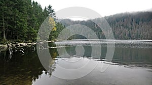 autumn in black lake sumava bohemian forest czech republic