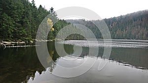 autumn in black lake sumava bohemian forest czech republic