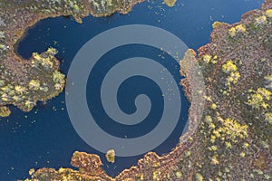 Autumn blue lake with islands in the forest, aerial view