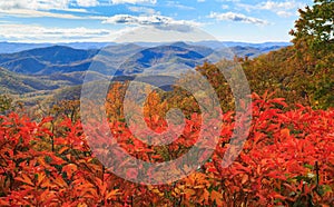 Autumn Blue Ridge Mountains North Carolina