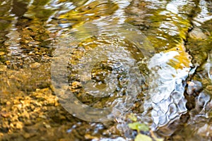 Autumn blurred water river abstract background with waves at surface and yellow leaves reflection