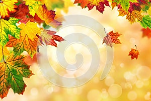 Autumn bokeh background bordered with leaves