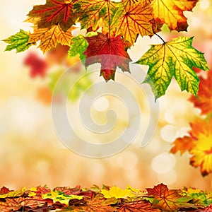 Autumn bokeh background bordered with leaves