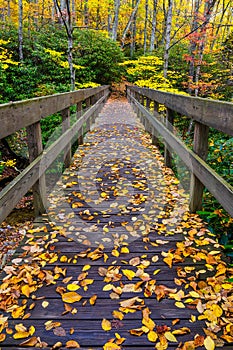 Autumn, Boone Fork Bridge, Blue Ridge Parkway photo
