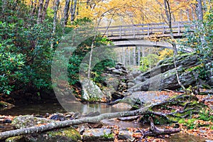 Autumn Boone Fork Creek North Carolina photo