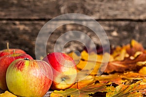 Autumn border from apples and maple leaves