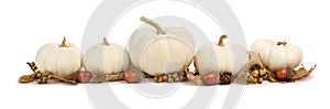 Border of white pumpkins and brown leaves isolated on white photo