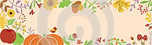 Autumn border horizontal decorated pumpkin fall flowers leaves Autumn banner Ribbon Place for text vector