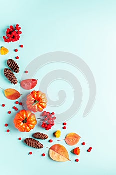 Autumn border with leaves, rowan berries, orange pumpkins, pine cones on pastel background, flat lay. Fall, thanksgiving concept.