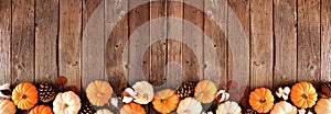 Autumn border of orange and white pumpkins with fall decor over a rustic dark wood banner background