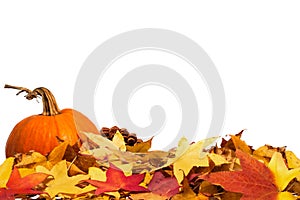 Autumn border with pumpkin