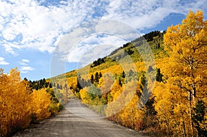 Autumn at Boreas Pass