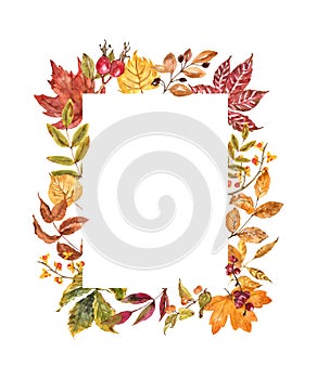 Autumn botanical floral border. Watercolor painting. Thanksgiving day card, invitation template