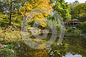 Autumn in Botanical Garden of Cluj, Romania