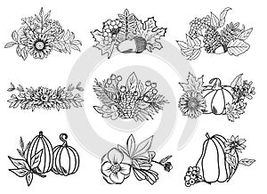 Autumn botanical line art floral compositions, hand drawn fall plants (flowers, leaves, acorns, pumpkins and branches)