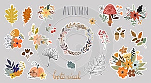 Autumn botanical stickers collection with seasonal plants arrangement