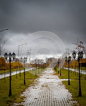 Autumn boulevard in the rain