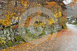 Autumn boundary wall