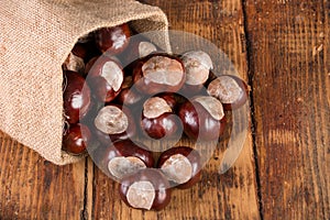 Autumn Bounty: Delightful Chestnuts in a Retro Setting