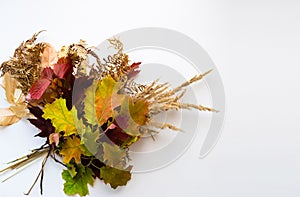 Autumn bouquet from leaves in a gift to the sentimental person. bouquet of autumn leaves