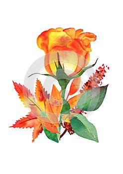 Autumn bouquet, watercolor fall floral arrangement for greeting cards, posters, or wedding invitations, isolated on a