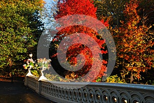 Autumn at Bow Bridge