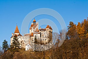 Autumn at Bran Castle (Dracula's Castle)