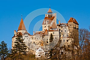 Autumn at Bran Castle (Dracula's Castle)