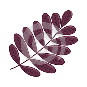 autumn branch tree icon