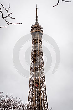 Autumn branches on the Eiffel Tower in Paris with its 2 rising elevators