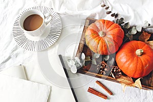 Autumn breakfast in bed composition. Blank card, notebook mockup. Cup of coffee., eucalyptus leaves and pumpkins on
