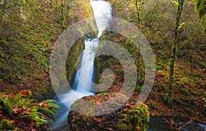 Autumn At Bridal Veil Falls Columbia River Gorge