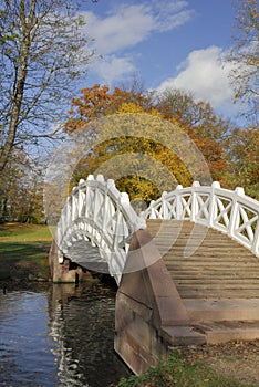 Autumn Bridge