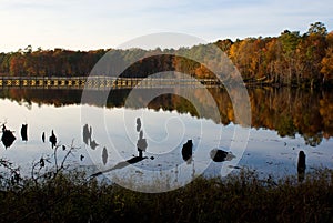 Autumn Bridge photo