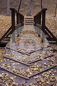 Podzim most 