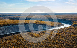 Autumn bright larch taiga in the floodplain of the northern Siberian river