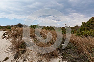 Autumn brown grasses cover a windswept dune under cloudy skies